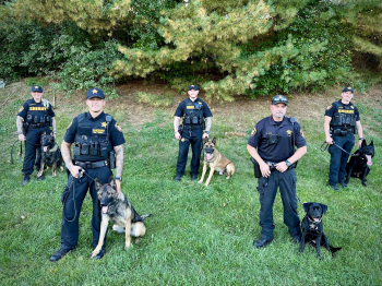 K-9 Unit